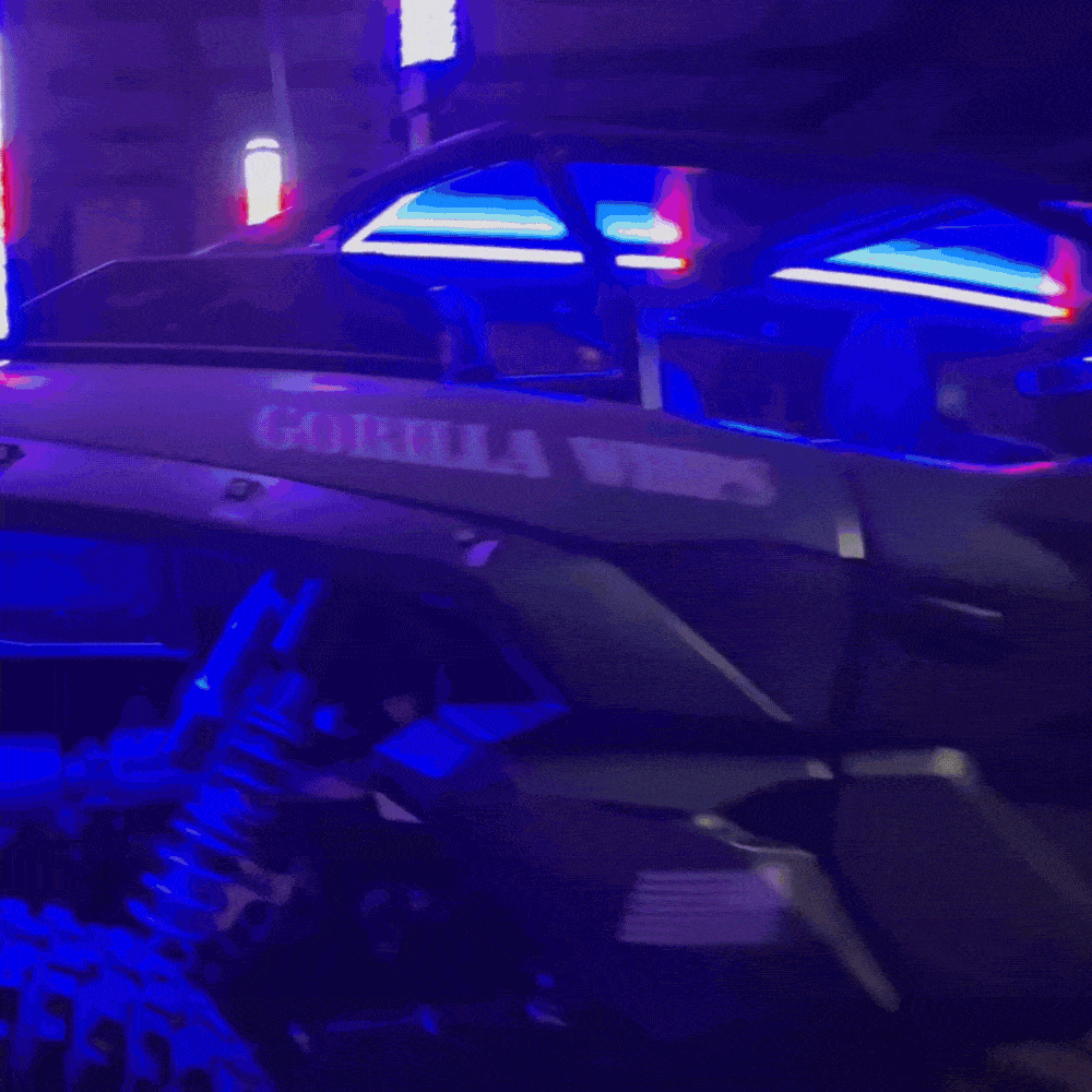 Chunky Monkey Single - Full Vehicle Lighting Packages (15% Off Rock Lights & Strips W/ LED Whips)