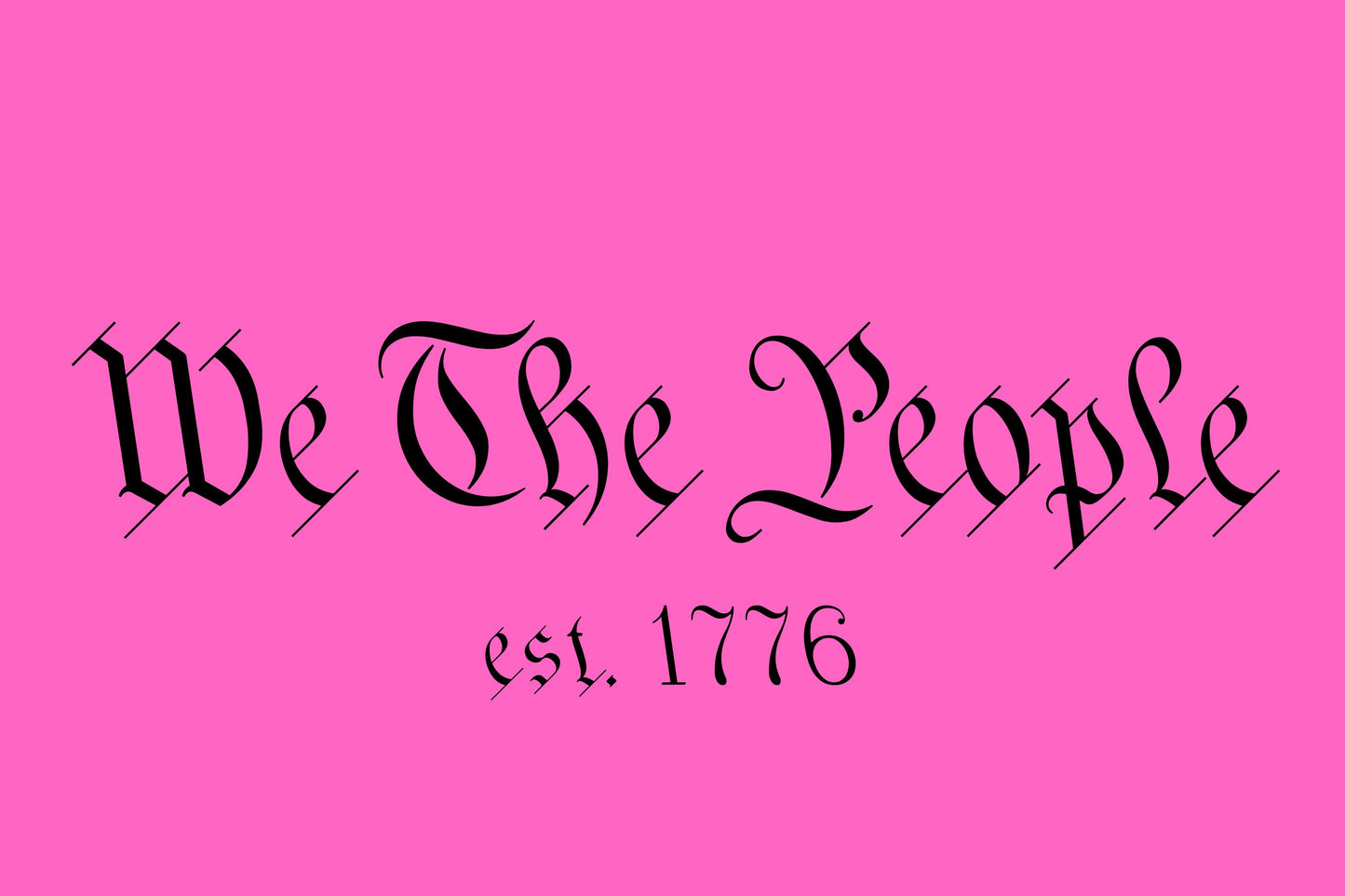 We The People Pink Flag USA 12x18 Grommet Whip Flag World's Most Durable Whip Flag
