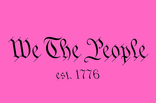 We The People Pink Flag USA 12x18 Grommet Whip Flag World's Most Durable Whip Flag