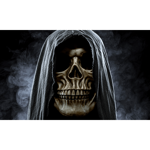 Robe Skull 2' x 3' Grommet Flag