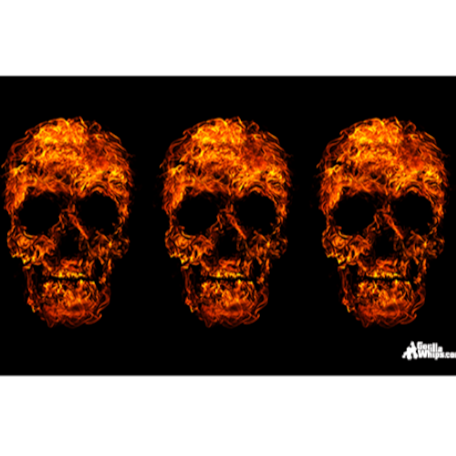 3 Skulls 2x3 Grommet Whip Flag