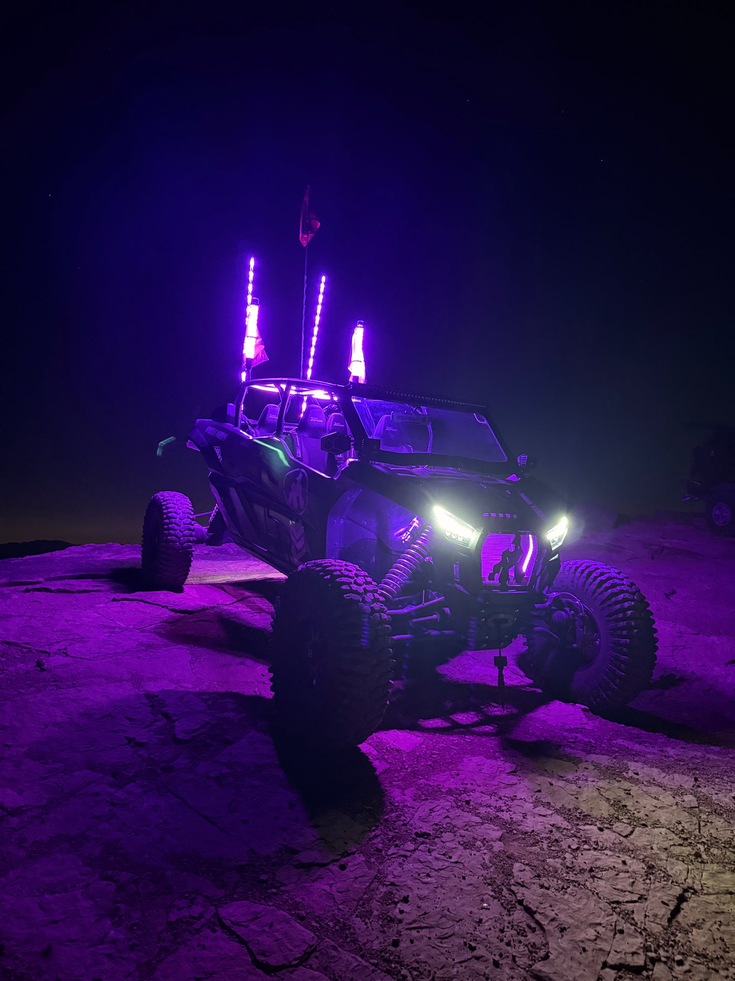 3' LED Whip Elite PRO X Pair of Whips *Preorder Expected Delivery 10/21/26