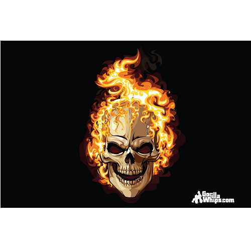 Flames Skull 12x18 Pocket Flag For 1/4" & 5/16" Whips
