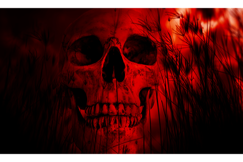 Red Skull 2' x 3' Grommet Flag 