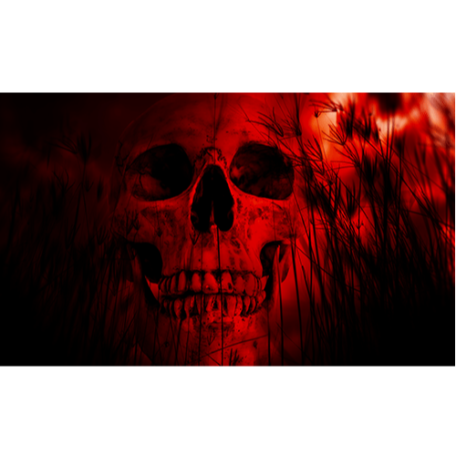 Red Skull 12x18 Pocket Flag For 1/4" & 5/16" Whips