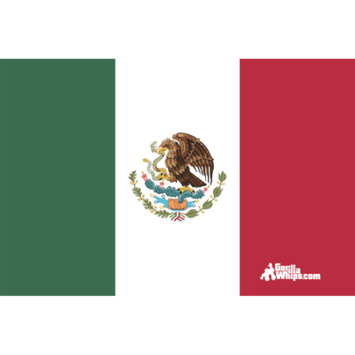 Mexico 12" x 18" Grommet Flag