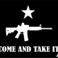 Come and Take it - Gun 12" x 18" Grommet Flag