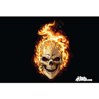 Flames Skull 2x3 Grommet Whip Flag