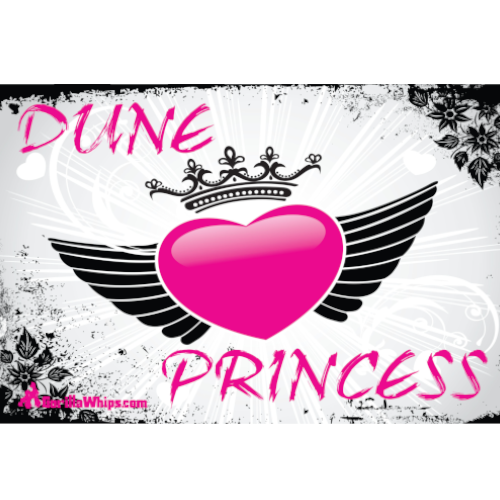 Dune Princess 2' x 3' Grommet Flag