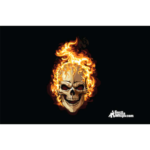 Flames Skull 3' x 5' Grommet Flag