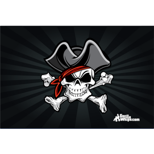 Pirate Skull 2' x 3' Grommet Flag